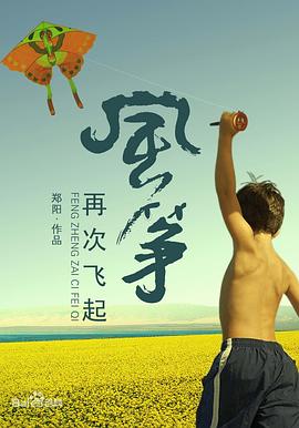 风筝再次飞起(大结局)
