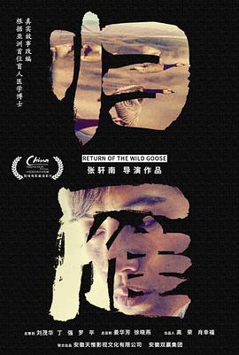 归雁(大结局)