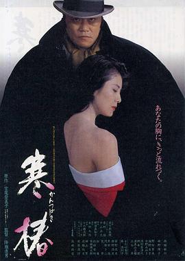 寒椿(大结局)