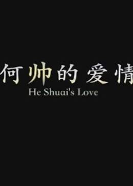 何帅的爱情(大结局)