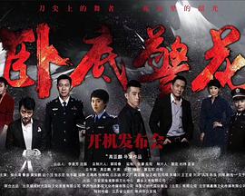 卧底警花 第12集