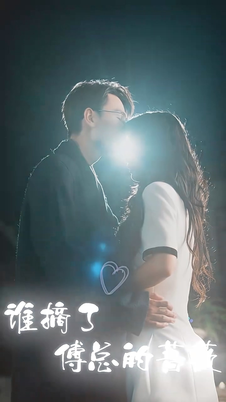 谁摘了傅总的蔷薇 第01集