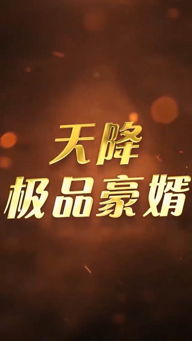 天降极品豪婿 第04集