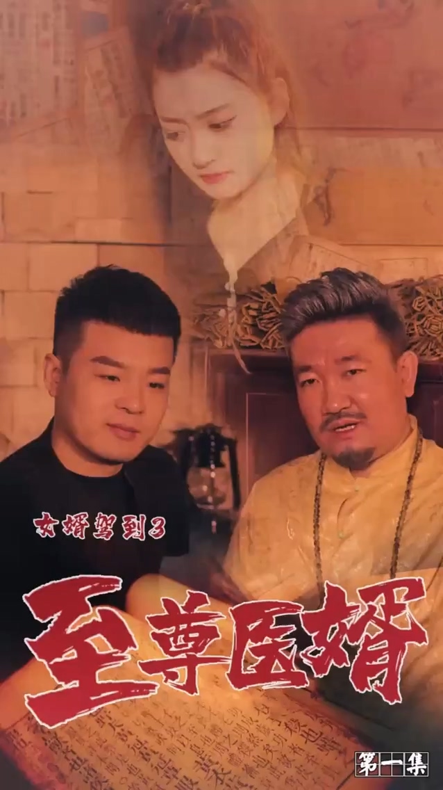 女婿驾到3 第52集