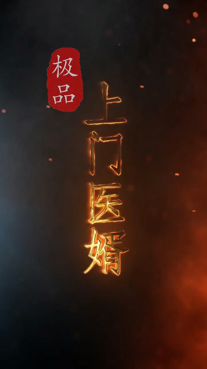 极品上门医婿 第09集