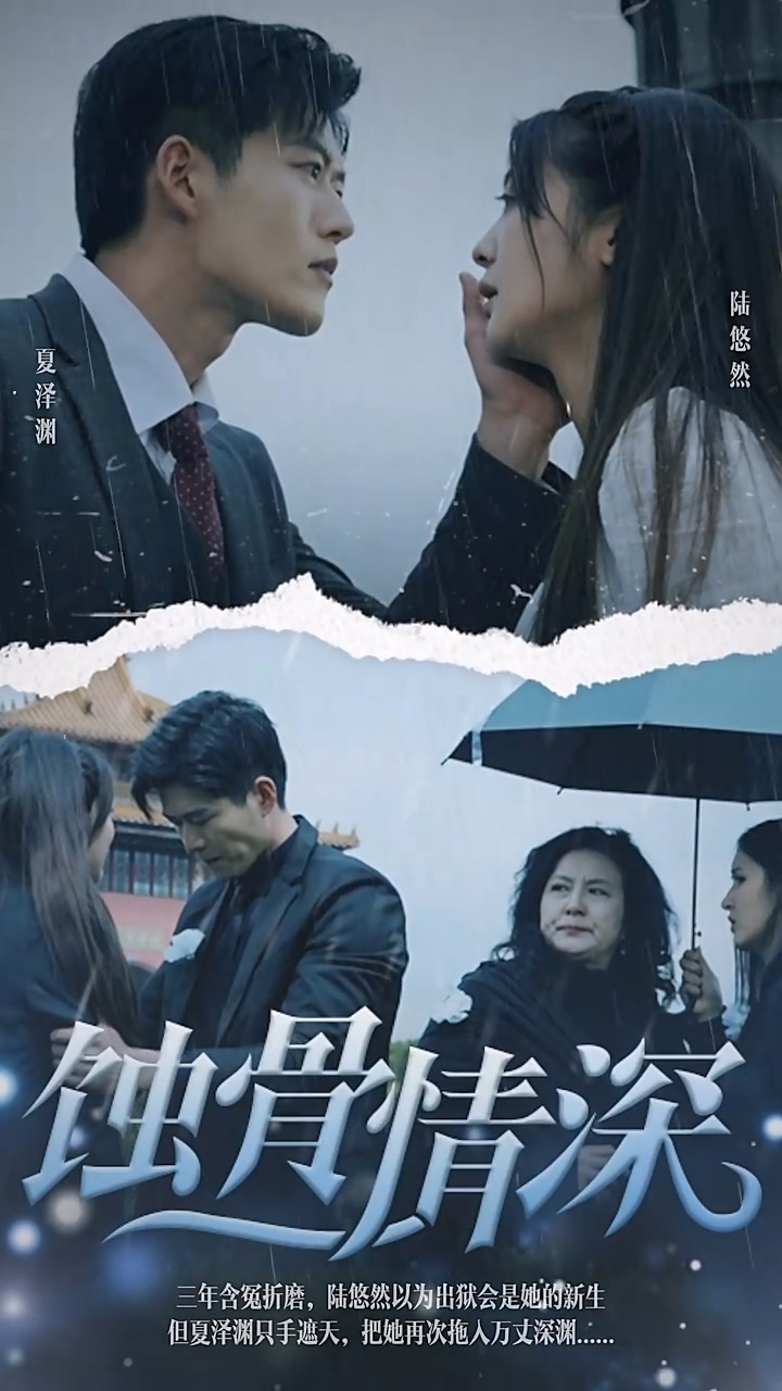 蚀骨情深 第12集