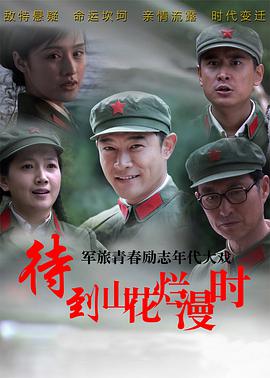 待到山花烂漫时 第28集