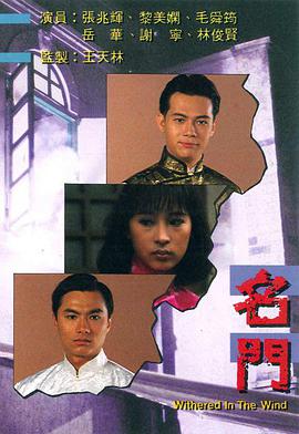 名门 第17集