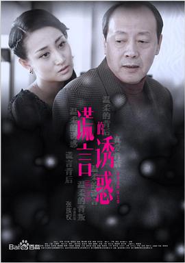 谎言的诱惑 第16集
