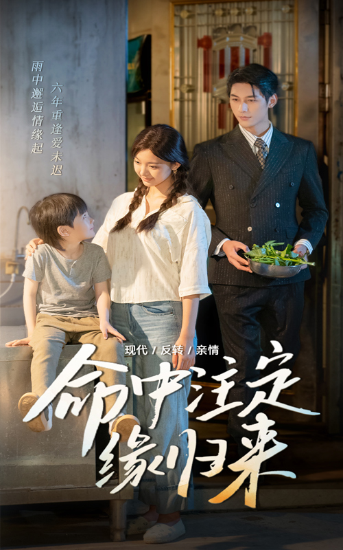 命中注定缘归来 第43集