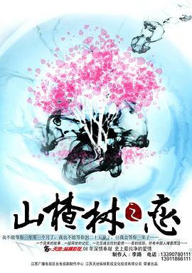 山楂树之恋2011 第35集(大结局)